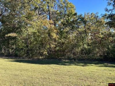 Lot 7 RIVER RIDGE ROAD, Norfork, 阿肯色州 72658, 美國