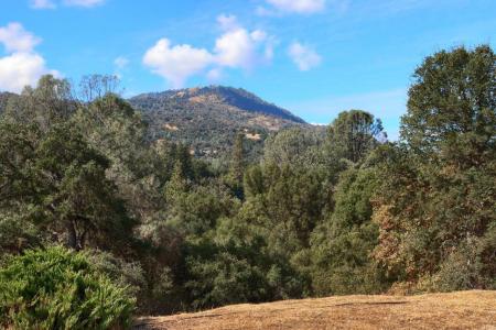 38788 Goldenrod Lane, Oakhurst, California 93644