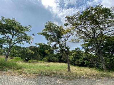 Central-Alajuela Central, Alajuela 20105, 哥斯達尼加