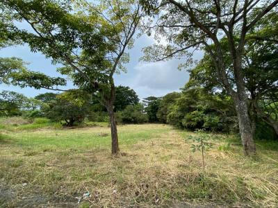 Central-Alajuela Central, Alajuela 20105, 哥斯達尼加
