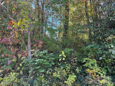 00 Upper Ridgewood Boulevard, Hendersonville, Karolina Północna 28739, USA