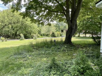 78 Wiley Road, Douglas, Michigan 49406, USA