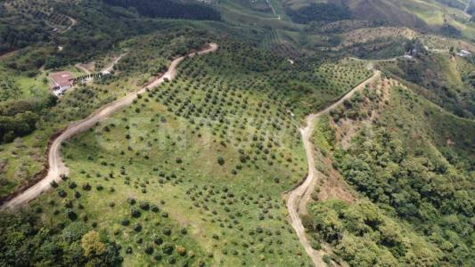 Amagá, Antioquia 0000, Colombia