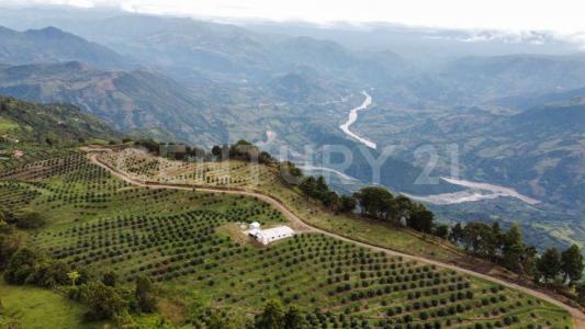 Medellín, Antioquia 0000, Kolombiya