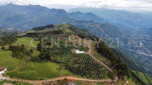 Medellín, Antioquia 0000, Kolombiya