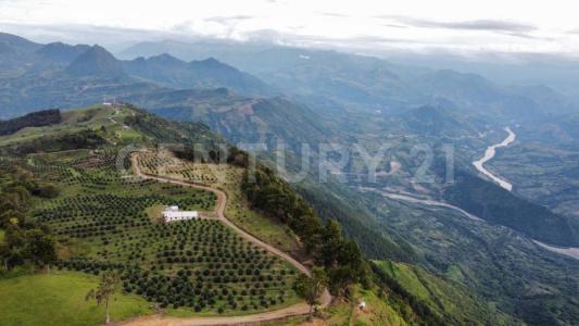 Medellín, Antioquia 0000, Kolombiya