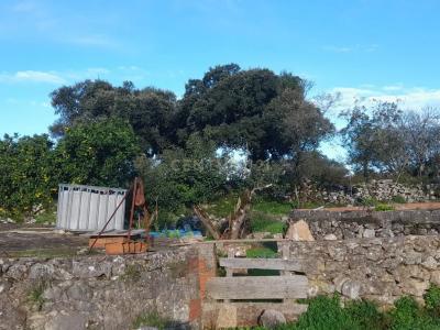 Alcanena, Santarém 2380-607, Portugal