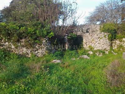 Alcanena, Santarém 2380-607, Portugal
