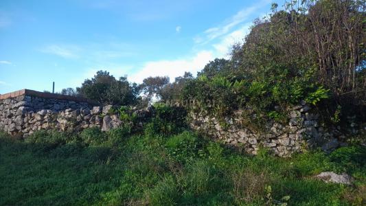 Alcanena, Santarém 2380-607, Portugal
