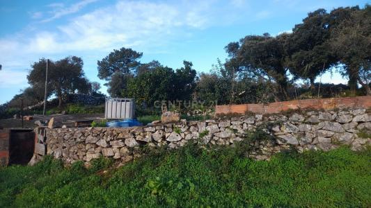 Alcanena, Santarém 2380-607, Portugal