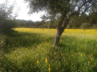 Gouveia, Guarda 6290-545, Portugal