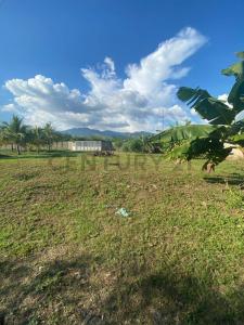 el limon el limon, Yagua, Carabobo 00001, Venezuela