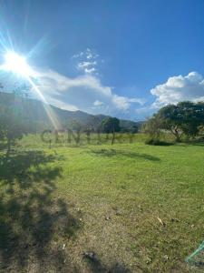 el limon el limon, Yagua, Carabobo 00001, Venezuela