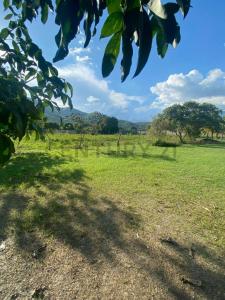 el limon el limon, Yagua, Carabobo 00001, Venezuela