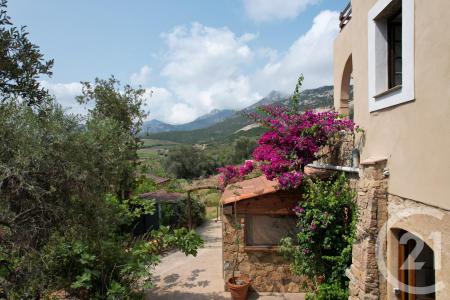 Calvi, Corse 20260, 法國