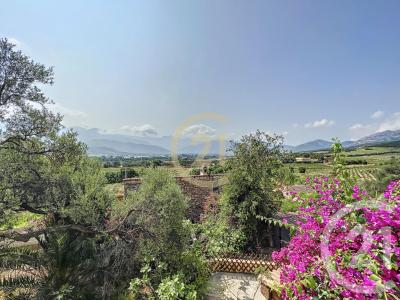 Calvi, Corse 20260, 法國