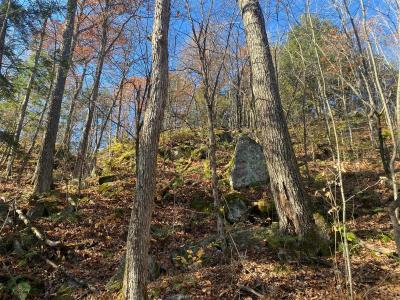 Route Principale, Val-des-Monts, Quebec J8N 2K3, Canada