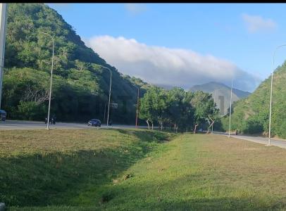 Avenida Rafael Fucho Tovar Sector Las Rosas, La Asunción, Nueva Esparta 6311, Venezuela