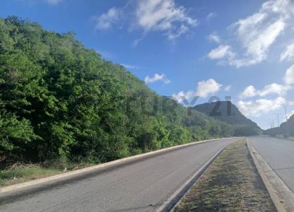 Avenida Rafael Fucho Tovar Sector Las Rosas, La Asunción, Nueva Esparta 6311, ונצואלה