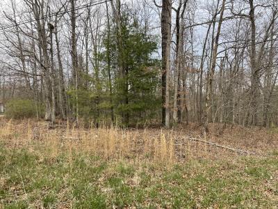 1055 Oceola Circle, Crossville, Tennessee 38572, Estados Unidos