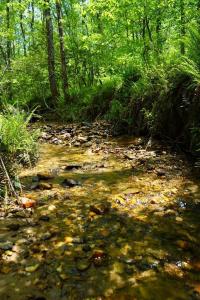 Rizzitello Lane, Blairsville, Georgia 30512, Estados Unidos