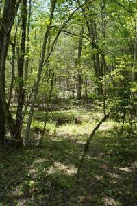 Rizzitello Lane, Blairsville, Georgia 30512, Estados Unidos