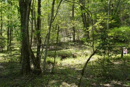 Rizzitello Lane, Blairsville, Georgia 30512, Estados Unidos