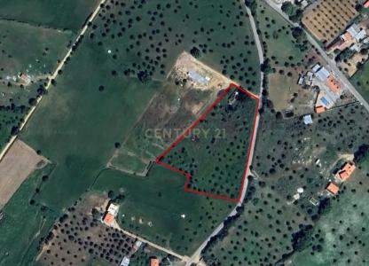 Montemor O Novo, 埃武拉 7050-001, 葡萄牙