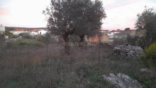 Alcanena, Santarém 2380-608, Portugal