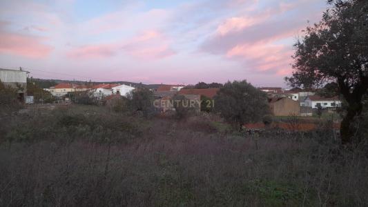 Alcanena, Santarém 2380-608, Portugal