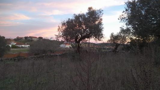 Alcanena, Santarém 2380-608, Portugal