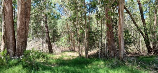 Cabo de Amarre 123, La Esmeralda, Rocha 00001, Urugwaj