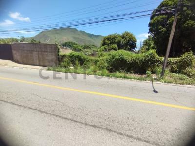 Principal Tereno, La Asunción, Nueva Esparta 5201, Venezüella