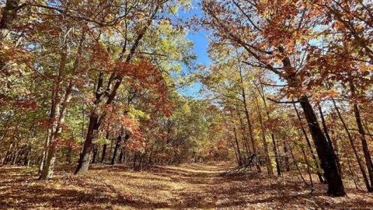 28034 Dreadfulwater Ridge, Proctor, Oklahoma 74457, Estados Unidos