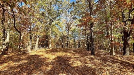 28034 Dreadfulwater Ridge, Proctor, Oklahoma 74457, Estados Unidos
