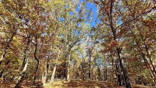 28034 Dreadfulwater Ridge, Proctor, Oklahoma 74457, Estados Unidos