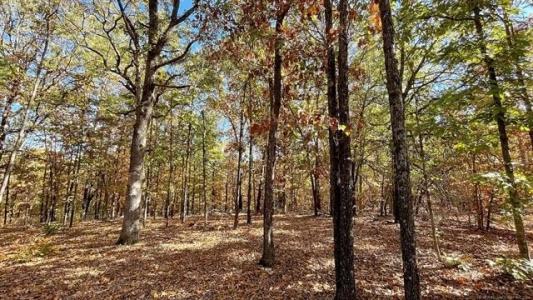 28034 Dreadfulwater Ridge, Proctor, Oklahoma 74457, Estados Unidos