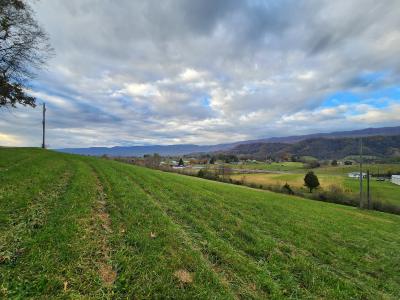 Indian Creek Rd, Ewing, Virginia 24248