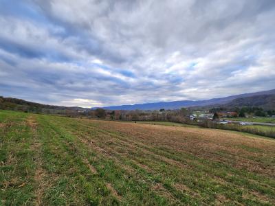 Indian Creek Rd, Ewing, Virginia 24248