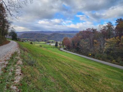 Indian Creek Rd, Ewing, Virginia 24248