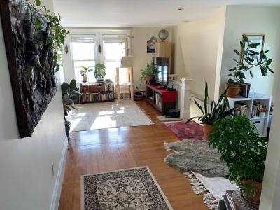 347 Rice Ave , 3, Revere, Massachusetts 02151, USA