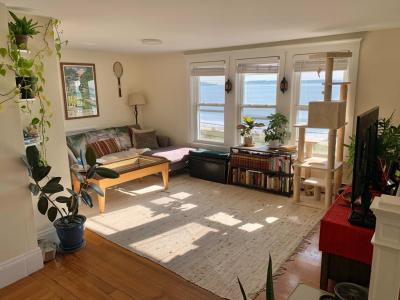 347 Rice Ave , 3, Revere, Massachusetts 02151