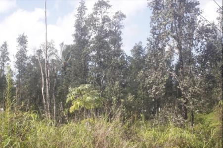 Lot 164, 14-3502 Kapu Ln. , Pahoa, Hawaii 96778, États-Unis