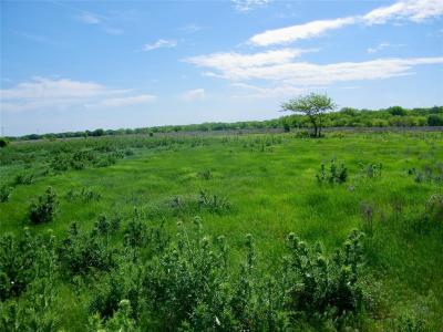 E 290 Road, Chelsea, Oklahoma 74016, HOA KỲ