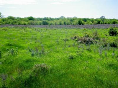 E 290 Road, Chelsea, Oklahoma 74016, HOA KỲ