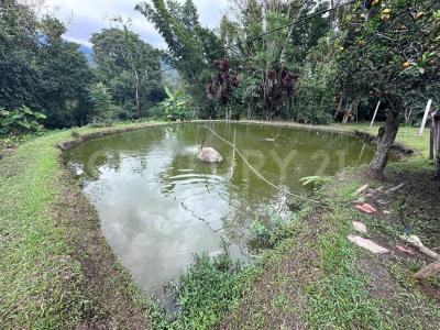 San Francisco, Cundinamarca 00001, Colombia