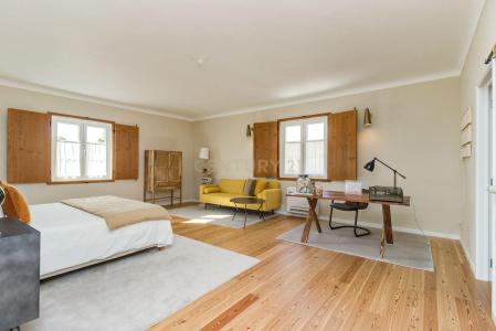 Montemor O Novo, Evora 7050-041, Portugal