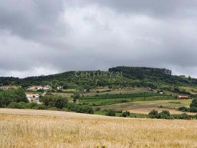 Arruda Dos Vinhos, Lisboa 2630-111, Portugal