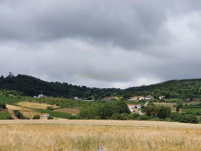 Arruda Dos Vinhos, Lisboa 2630-111, Portugal