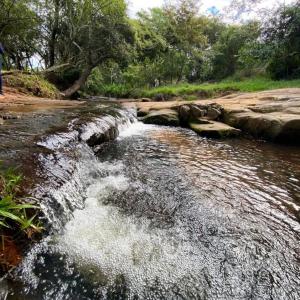 ytu pora , Pirebebuy, Cordillera 00001, Paraguay